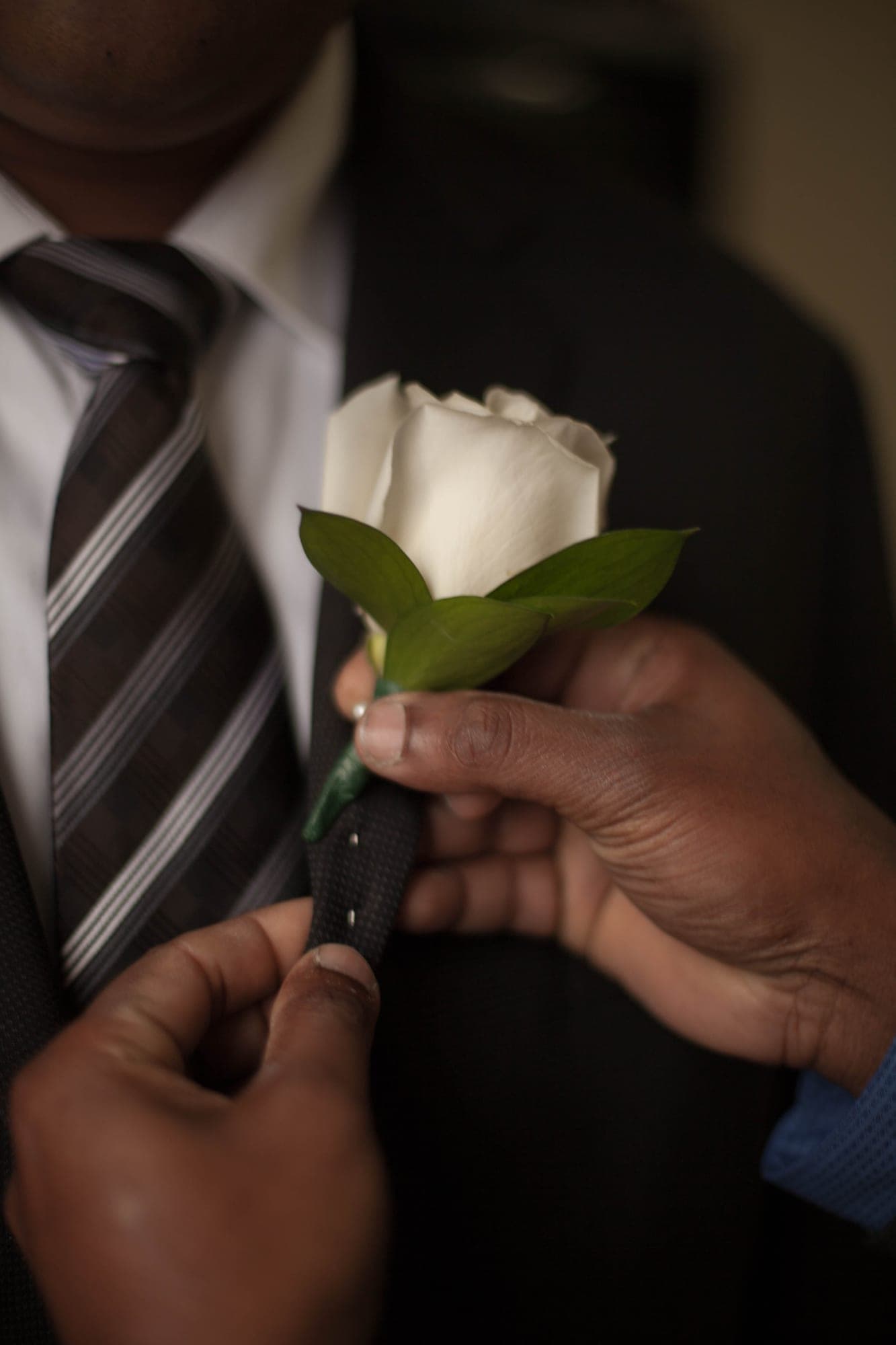Close-up of hands holding a white rose boutonniere